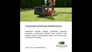 🎥 Transform Your Office Landscape with Mediseeds