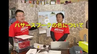 バサースプークの色（SAVAM YouTubeLive切り抜き）