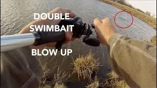 8in Bull Shad / Cast2Catch