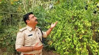 Ganesh V Thadagani,  RFO   giving us a glimpse of  the forest created in 2017.