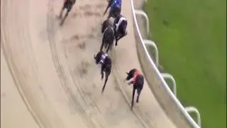 2017 DERBY PLATE - HEAT 2 - T6 MAGLASS RAZZLE