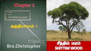 NOTER OF TABERNACLE  3RD CLASS  TOPIC  SHITTIM WOOD சீத்திம் மரம்