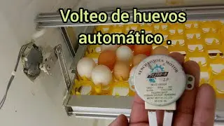 Volteo de huevos con motor de microondas.