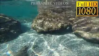 PLAGE DES DARBOUSSIERES - GIENS - FOND MARIN - GoPro - 1080p.HD.(octobre 2018)