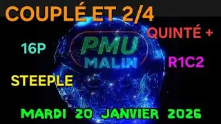Coupl&eacute; et 2sur4 pmu quint&eacute; + du jour mardi 20/01/2026