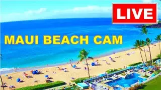 🐳  LIVE 24/7  🌊  4K MAUI LIVE CAM  * WHALE WATCH CAM *  www.WhalerCondo.net