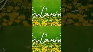 #music #gulamin #song #kurdishmusic #kurdishfolk #coversong #kurdishsong #diyardersim #azchannel