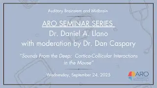 ARO Seminar Series: Auditory Brainstem and Midbrain
