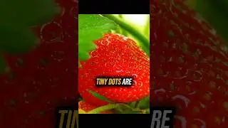 Клубника &mdash; это НЕ ягода 🍓