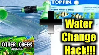 How to do a water change in a fry tank | How to do a water change with a python