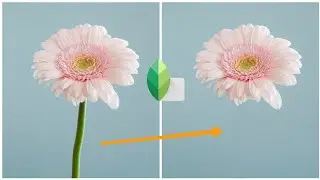 How to use healing tool in Snapseed || how to remove object