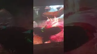 SW The Force Unleashed - Darth Vader Fights Wookiees