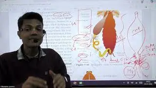 Cockroach L-02 | 03-26 | AMAR SHINDE SIR | Biology 13th NEET | VSA