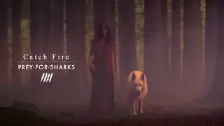Prey For Sharks - Catch Fire (Official Music Video)
