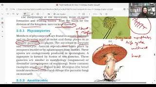 NCERT Biology Line by Line for NEET Concept Mastery!Biological classification lec no. 6