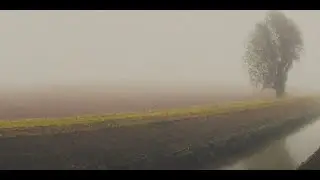 Limegar - Svanzica [Official Video]