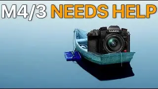 Micro Four Thirds Didn't Die, They Just...