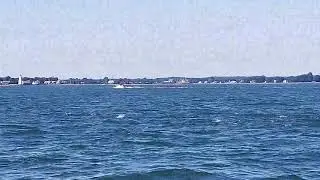 Bluefish Blitz Long Island Sound.