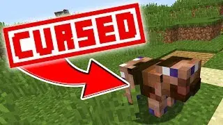 so i played a CURSED minecraft texture pack... (WEIRD)
