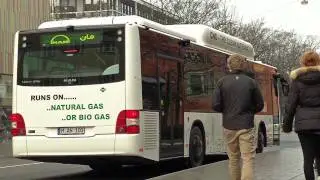 (EN) MAN Lion's City CNG