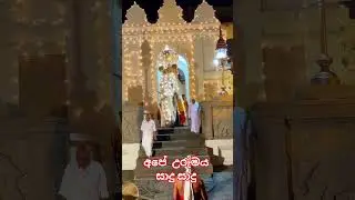 අපේ උරුමය #daladaperhar #colombo #ukjeewithe #kandy #kandyperqhara #srilanka #travelsrilanka #shorts