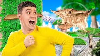 Wir Bauen ein Unglaubliches Labyrinth für Fliegende Eichhörnchen! Geheimes Zimmer für Haustiere