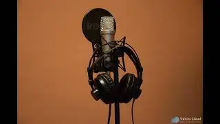 Voice Acting Career | Public Service Announcement Demo w/4 samples