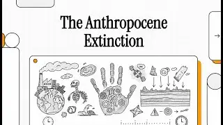 The Anthropocene Extinction: How Human Activity Outpaces Evolution