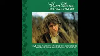 Judy Dyble and Andy Lewis:  Northern Sky (Nick Drake)