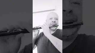 #improvisation #Baslerpiccolo #pfyffe #Basel #piccoloflute #piccolo