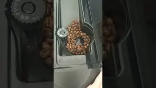 Кофемашина DELONGHI CAFFE CORSO