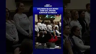 Rep. Dan Goldman Questions Pam Bondi On DOJ Handling Of Epstein Files Case