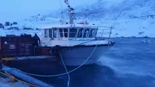 Qasigiannguit saqqarsarnertoq 4. December 2021