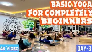 Basic Yoga For Completely For Beginners ( Based On Vinyasa )| Master Ranjeet Singh Bhatia | DAY-3