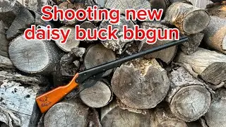 Shooting new daisy model 105 buck BB gun