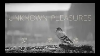 🐦 Monochrome Rain &bull; Sparrow on the Wall ✦ Immersive White Noise Stillscape｜10 Hours Unbroken Calm 🌧️