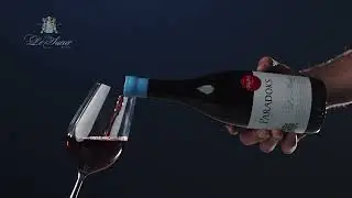 Le Sueur Paradoks: A Pinot Noir & Cinsault Fusion Redefining Tradition