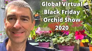 #GVBFOS2020 Global Virtual Black Friday Orchid Show 2020 - Quick Blooms Tour!