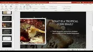 LUSANDA HADEBE 221005494 EDBS312 ASSIGNMENT CONOTOXINS   PowerPoint 2023 03 24 23 49 03