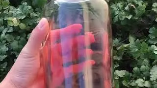 1L Clear Round Bottom Chemical Reagent Medicine Jar with Glass Matte Lid