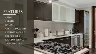 Chicago's Short Term Rentals! 1-Bedroom
