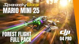 Speedybee Mario Mini 25 | Waldflug bei der Astfee | Betaflight 25.12.1 frisch geflasht