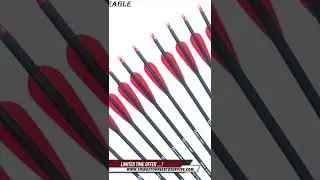 Carbon Arrow 28/30/31 Inches Length Spine 500 with Replaceable Arrowheads