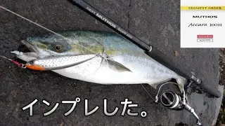 アキュラ100Hをインプレした。