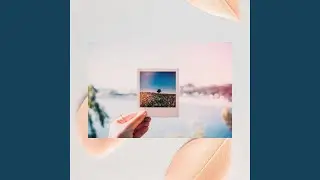 Elegant Backdrops for Nothing But Life