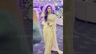 Alina Amir Saree Look 😍😍 #trending #funny #viral #alimaamir #wedding ing