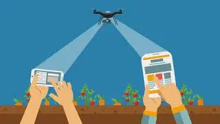 Portal de servi&ccedil;os agr&iacute;colas