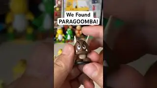 We Found PARAGOOMBA!