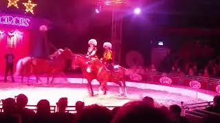 Zippos Circus