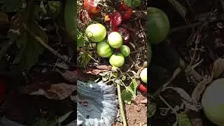 #shortvideo #motivationalphrase #motivational #reflection